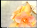 Flowerific toys classic tv commercial 1970's