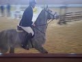 Gise Coming 5 Yr Old Mare Graf Top  Athletico