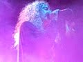 Los Suaves-San Isidro 2007-Lisa (1970-1996)