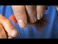 Carolina Beach Fly Fishing  & Fly Tying. The Redfish Slider