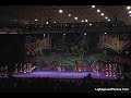 NEO Supercats