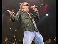 guns n\ guns n\