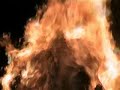 guy fawkes night 2006. guy burning. catharsis of one-self. ritual in modern times. childrens first experience of bonfire night with a burning guy.