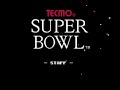 my gameplay of tecmo super bowl (nes). playoffs super bowl seahawks vs. giants