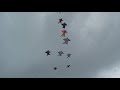 Amazing Wingsuit Free Flying 20 Way