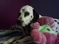 the things I love!!