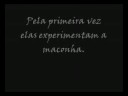 3.6 Realidade das Drogras - Parte 1