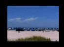Weekend Getaway Miami Florida Shark Hunting