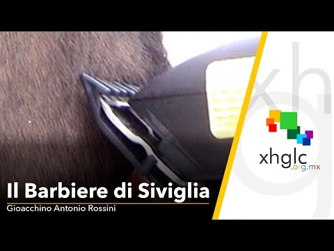 Il Barbiere di Siviglia (Gioacchino ...