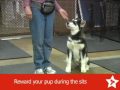 See video