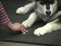 See video