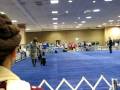 videos de ASC09 002
