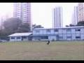 Border Collie video