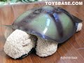 2) Wholesale Rc Toys