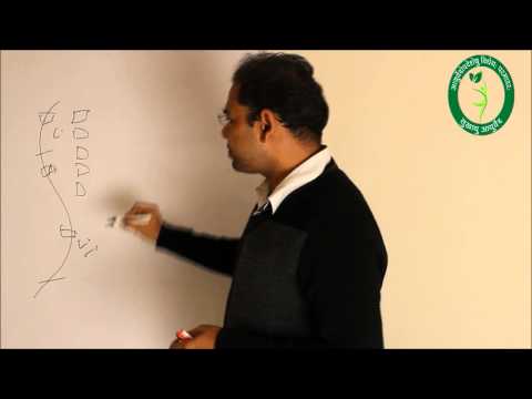 how to cure slip disc