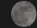 Bad Moon Rising 3/22/08