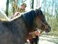 Ons paard Sterre brak los tijdens een wandeling