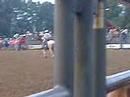 Raleigh Rodeo