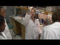 SU2C IRG Profile: Dr. Amy J. Wagers