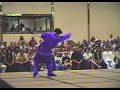 Splendid China Wu Shu Team 1994
