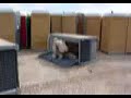 fun in iraq