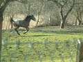 Honey2_0001.wmv Honey2_0001.wmv