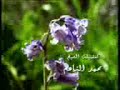 محمد الناعم