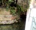 TEMPLAR'S MISTERY 7: TREVISO, GIORGIONE E LA TEMPESTA