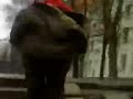 dzuli