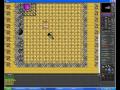 Tibia Greenhorn Level arena by Xalius Ots