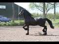 Jonas - Hero