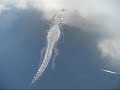 Un giorno alle Everglades - Vincenzo Suraci