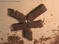 Chocolate Gang War