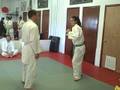 Zenbu Ryu Jujutsu: Yellow Belt Exam - Chris Ferrara (Part 3/4)