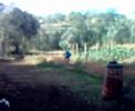 Na pista de Alquerubim