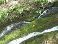 RHODOS-Valley-Of-The