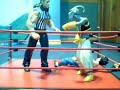 Dragonball Wrestling