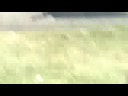 bassrace run 3