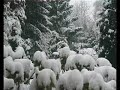 snowfall