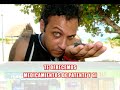 ACTITUD NAYARIT - PROG 24 P 3_4 ACTITUD NAYARIT - PROG 24 P 3_4