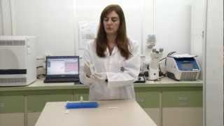 VÍDEO: Kit para teste rápido da dengue deve estar disponível no final de 2013