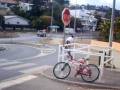 videos de kov velo