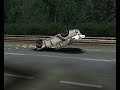 Le Mans Airbone