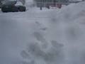 Souffleuse chez nous, snow blower at home