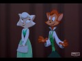 Danny-Sawyer-Potenti