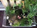 Terraario/ Terrarium, Mahdollisuuksien tori 2009. Tampere.