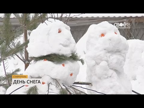 День снега 2017 СТВ