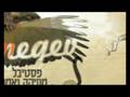 inDnegev clip