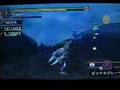 【MDA】  MHP2  挟撃のイャンクック！　上位　裸　罠不使用