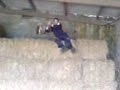 jordan being a mad farmer
